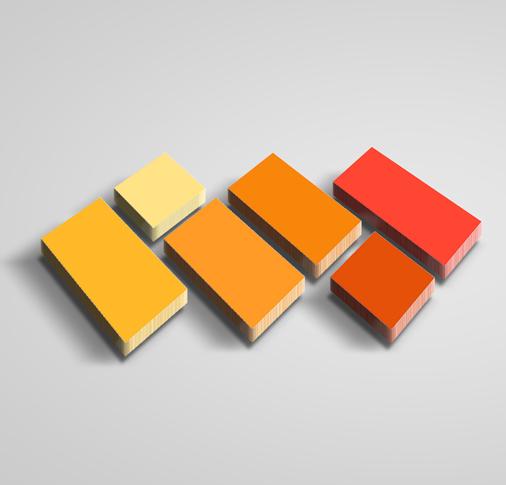 WSMP VIII Logo Doors